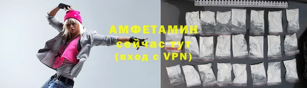 прущая мука Вяземский