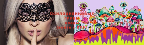 прущая мука Вяземский
