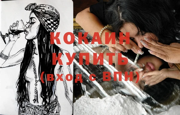 прущая мука Вяземский