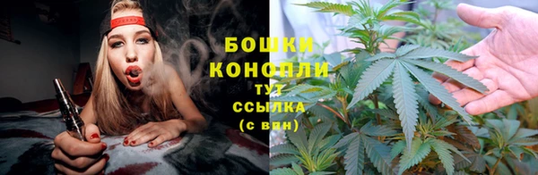 прущая мука Вяземский